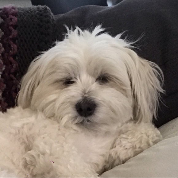 Meet your Posher, Alex - Picture 1 of 1